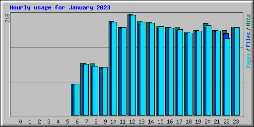 Hourly usage for January 2023