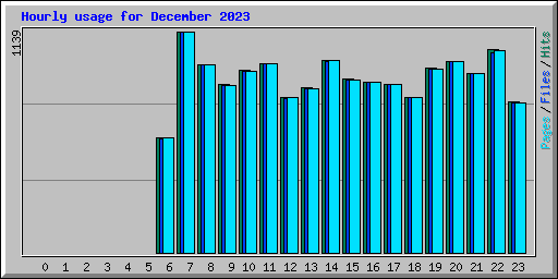 Hourly usage for December 2023