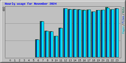 Hourly usage for November 2024