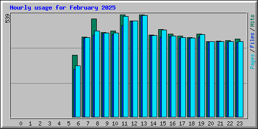 Hourly usage for February 2025
