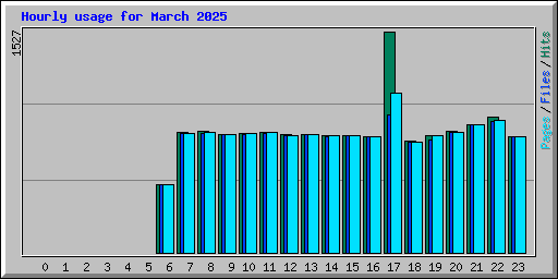Hourly usage for March 2025