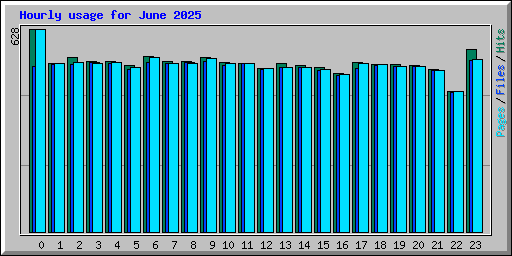 Hourly usage for June 2025
