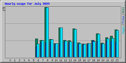 Hourly usage for July 2025
