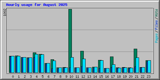 Hourly usage for August 2025