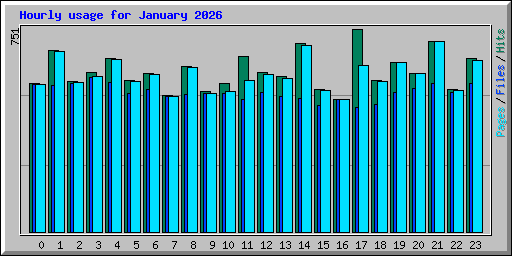 Hourly usage for January 2026