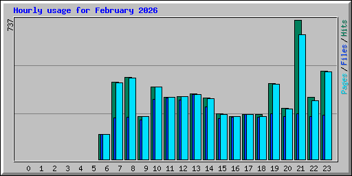 Hourly usage for February 2026