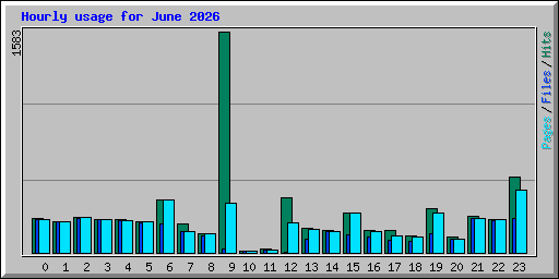 Hourly usage for June 2026