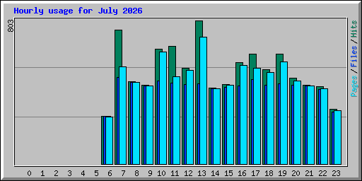 Hourly usage for July 2026
