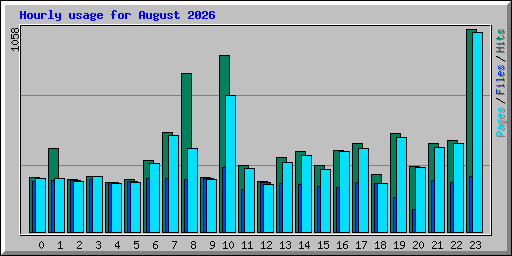 Hourly usage for August 2026